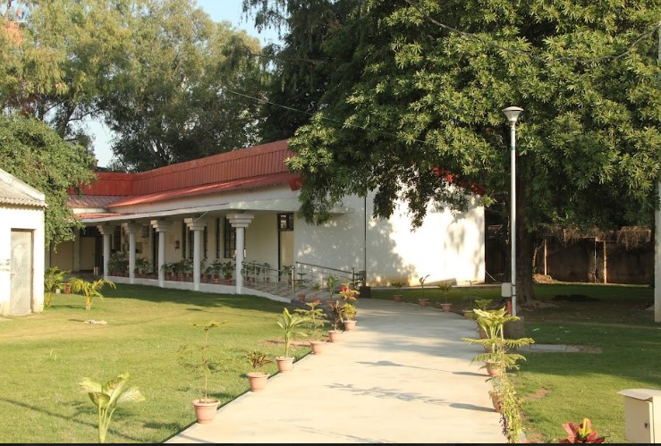 IIM Jammu Campus photo 14